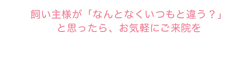 飼い主様が「なんとなくいつもと違う？」と思ったら、お気軽にご来院を