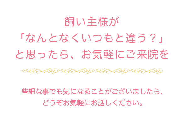 日比獣医科クリニック